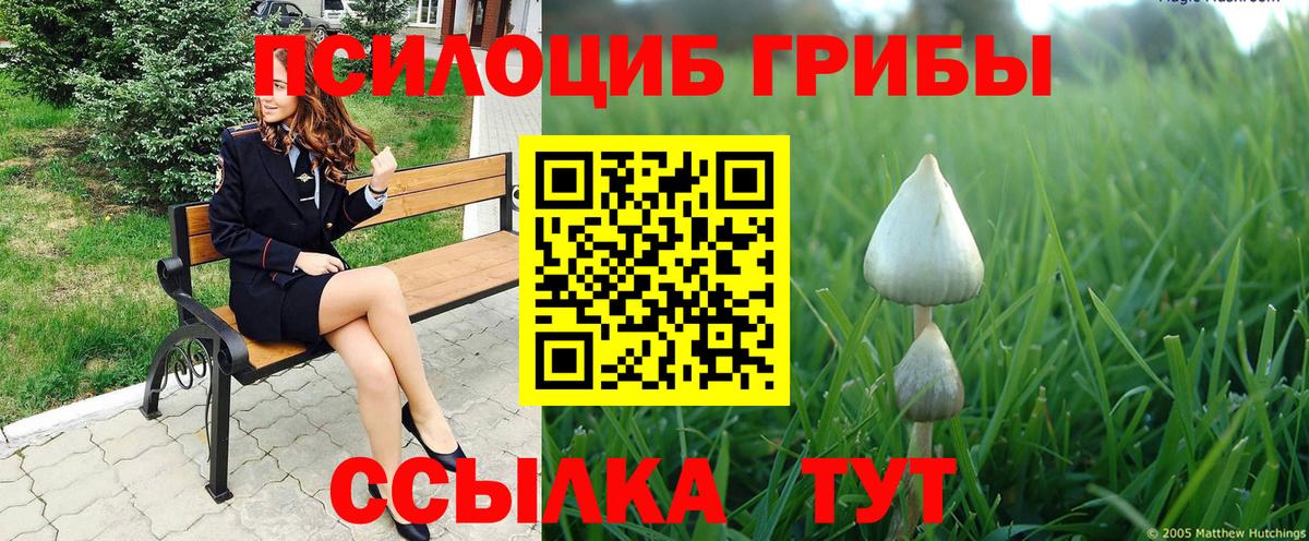 Псилоцибиновые грибы Magic Shrooms  Вход с VPN  Ульяновск 